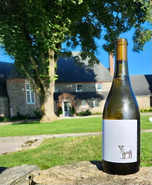 2023 North Fork Chardonnay
