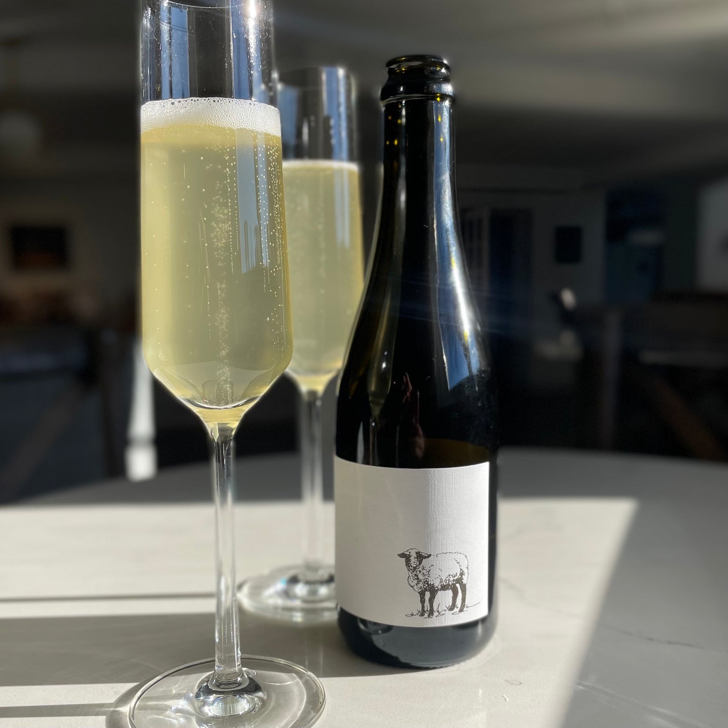 2020 North Fork Petnat