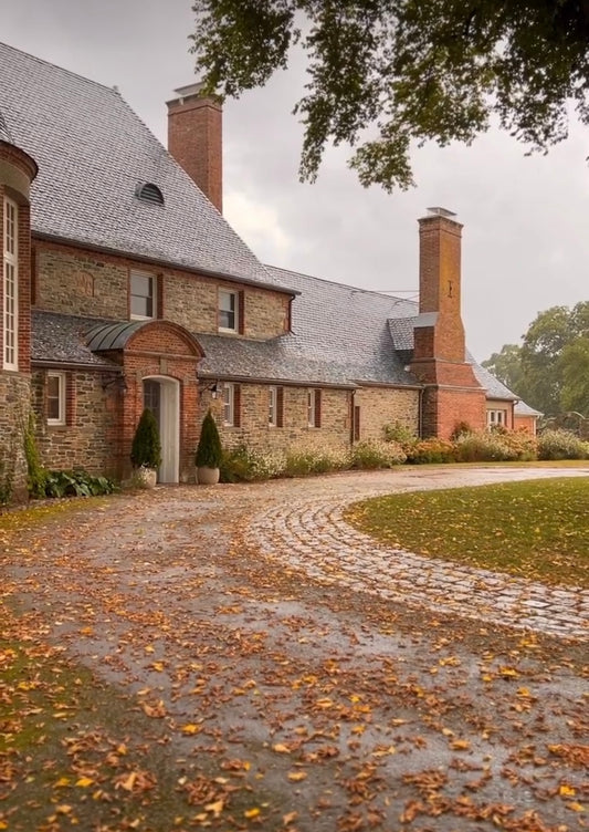 FALL FOLIAGE